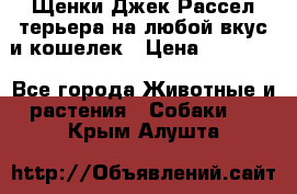 Щенки Джек Рассел терьера на любой вкус и кошелек › Цена ­ 13 000 - Все города Животные и растения » Собаки   . Крым,Алушта